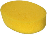 Yellow Oval Sponge