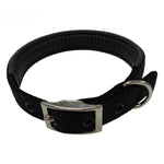 Taurus Padded Nylon Dog Collar